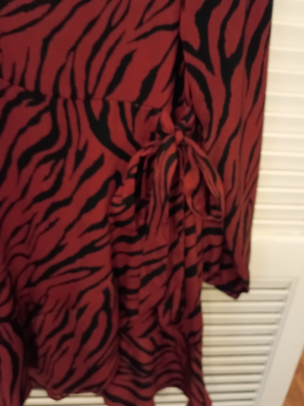 Express Zebra-Print Long-Sleeve Ruffle Mini Dress Rust Color - Picture 4 of 5